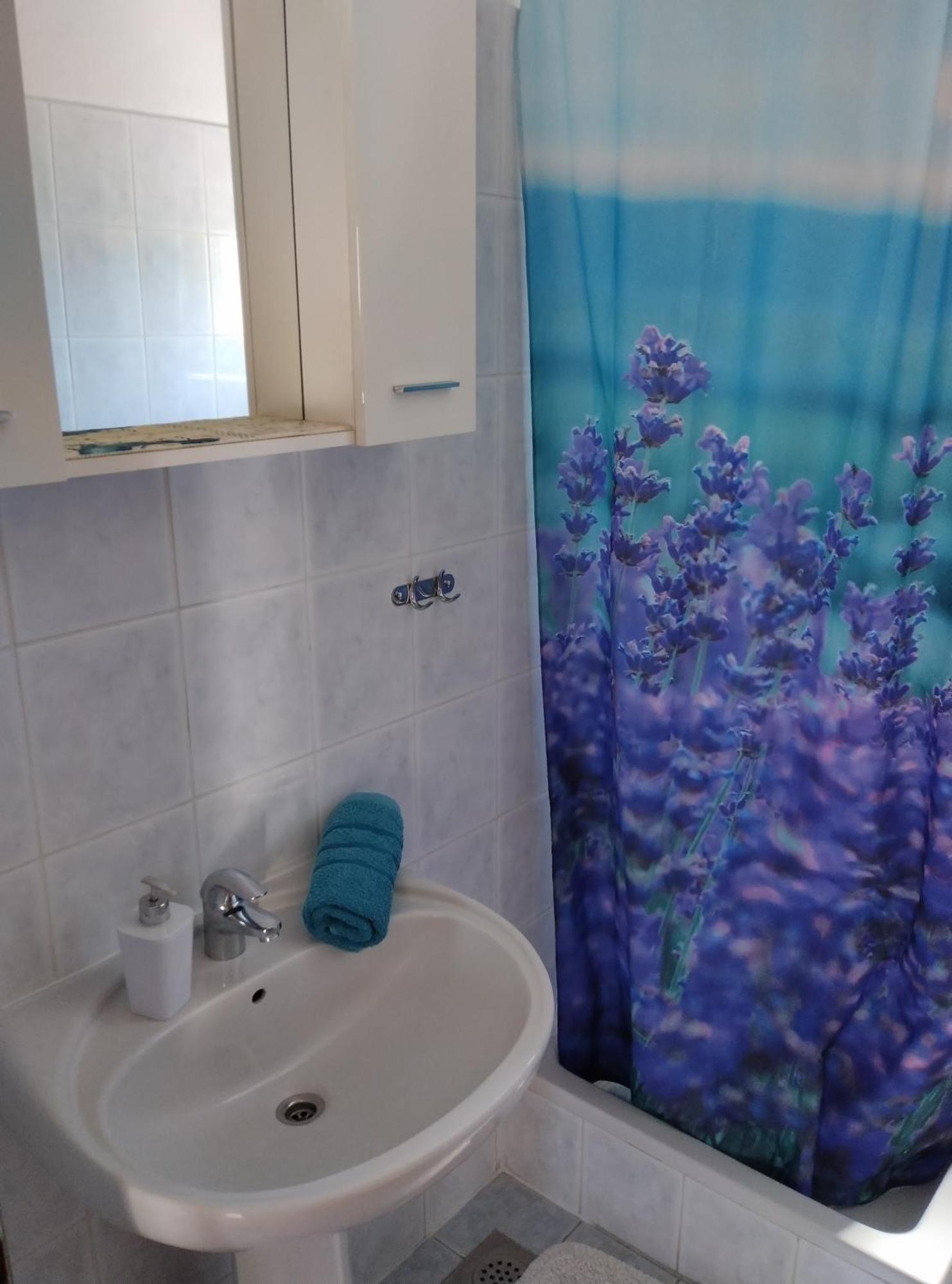 Apartments Hanna Grebaštica Extérieur photo